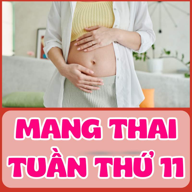 Mẹ bầu mang thai tuần thứ 11 thay đổi như thế nào?